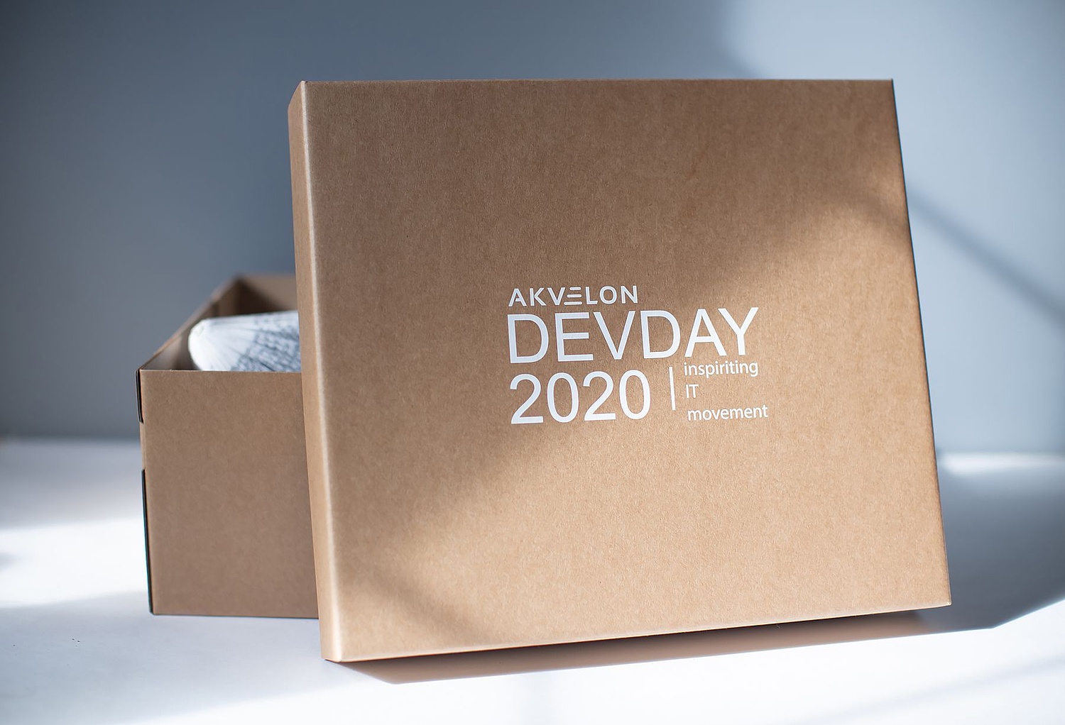 Упаковка для AKVELON DEVDAY 2020