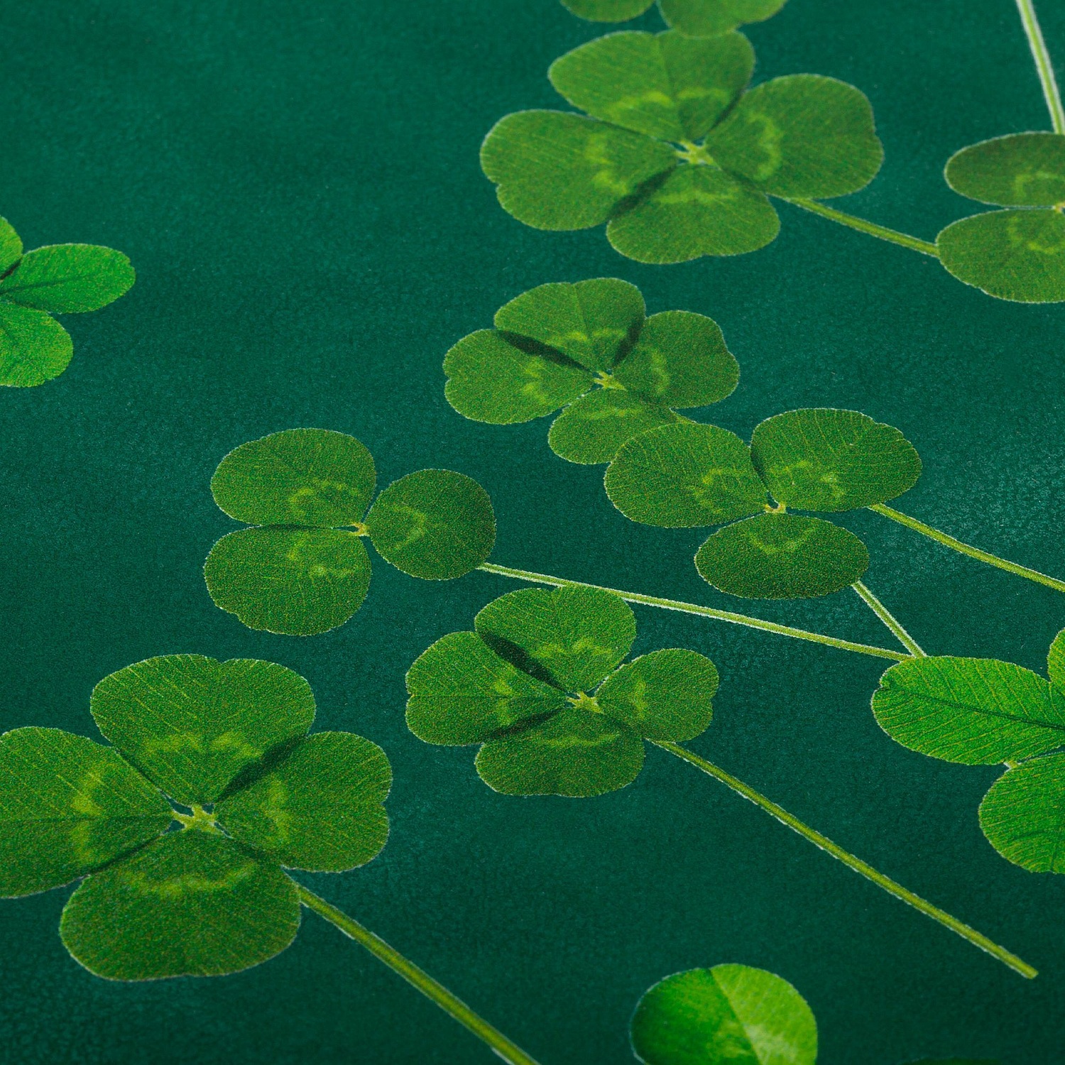 Ежедневник Kuka, недатированный, зеленый с логотипом