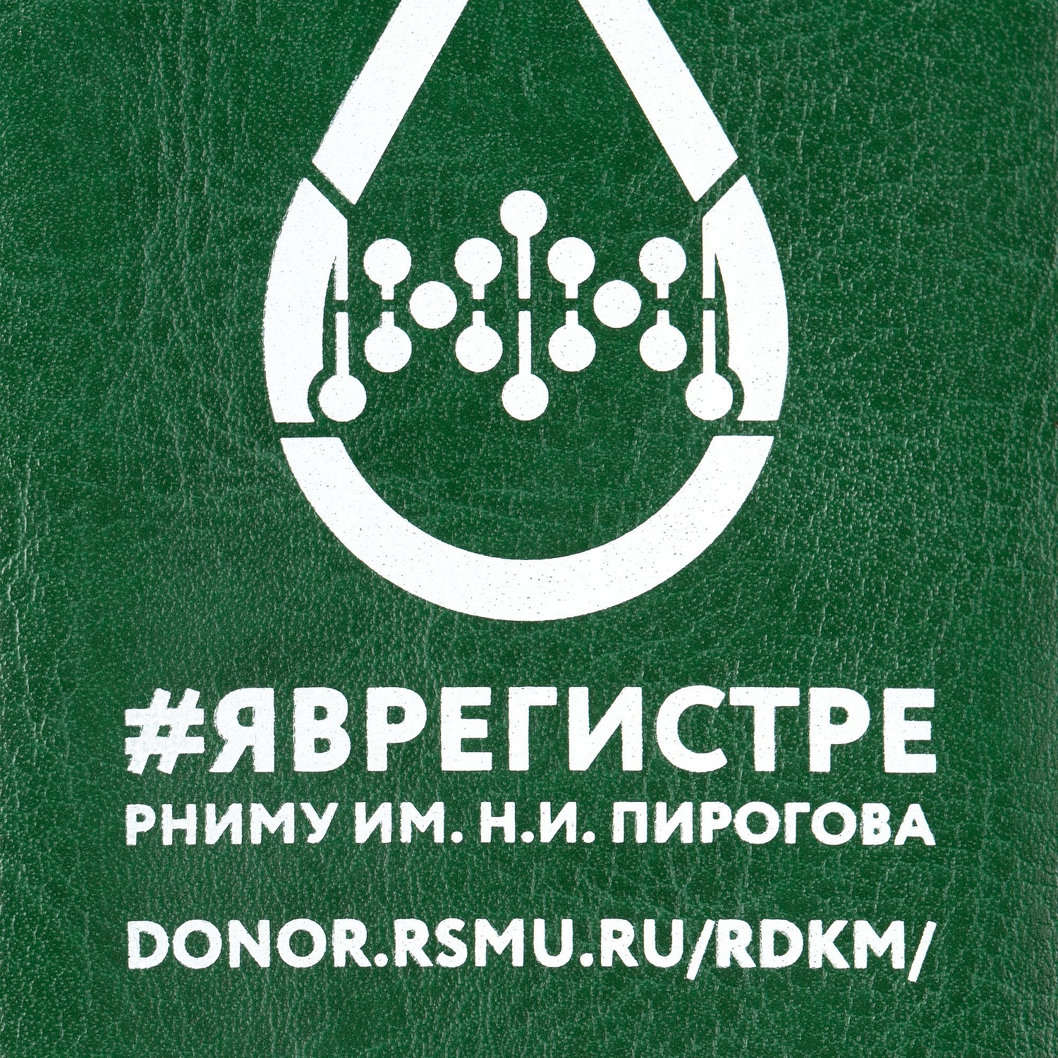 Чехол для пропуска Nebraska, зеленый с логотипом