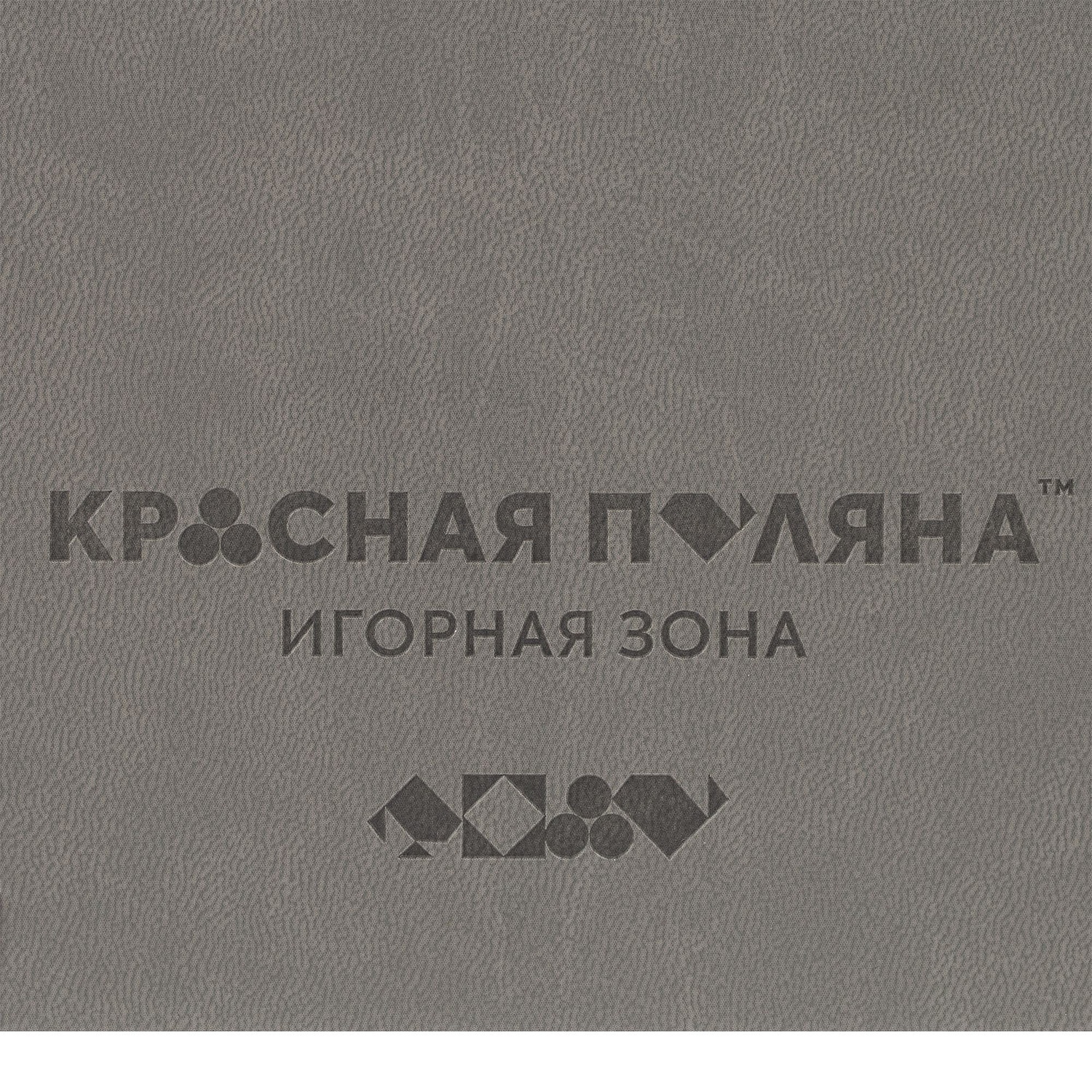 Ежедневник New Factor Metal, серый с логотипом