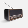 Радиоприемник «РП-336» с логотипом