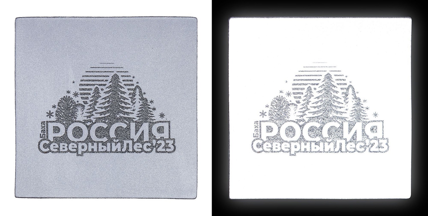 Лейбл светоотражающий Tao, L, серый с логотипом