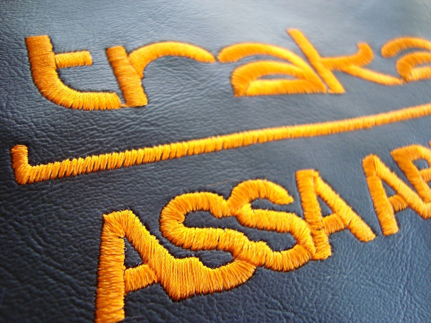 Вышивка логотипа