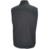 Жилет Falcon BW Men, темно-серый, размер XL