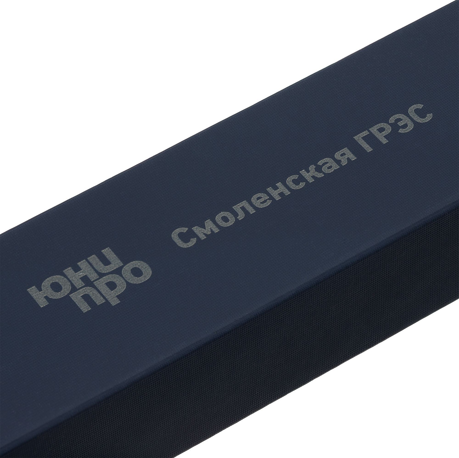 Футляр для ручки Solus, синий с логотипом