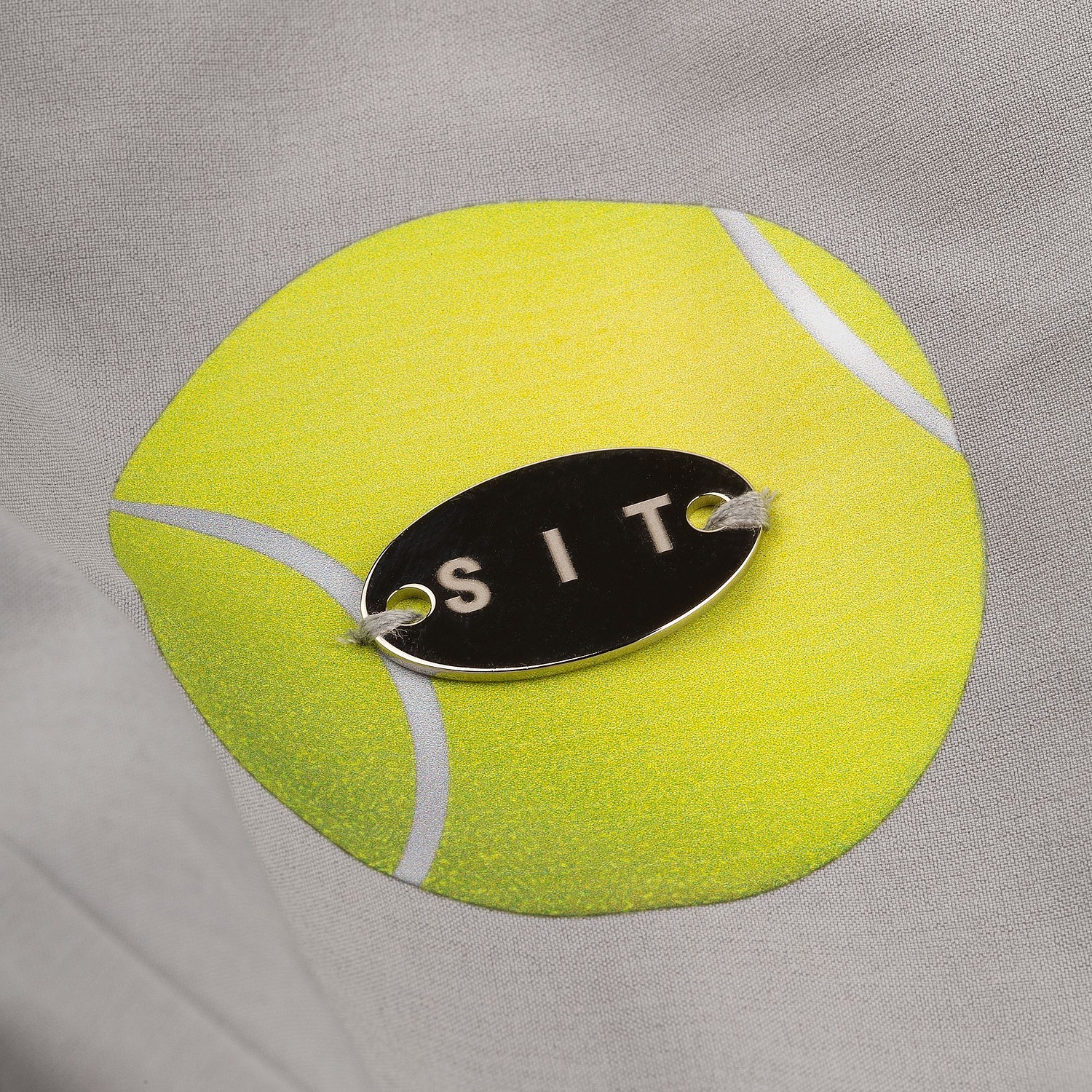 Шильдик металлический Alfa Oval, серебристый с логотипом