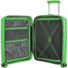 Чемодан Butterfly S, зеленый с логотипом