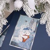 Коробка The Blue Bear, S с логотипом