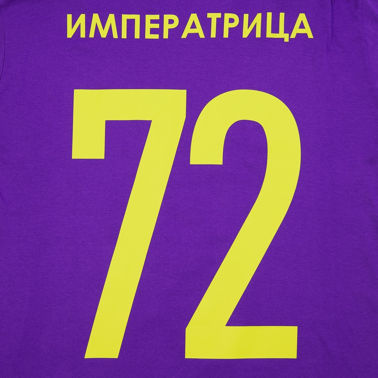 Футболка унисекс Regent 150, фиолетовая с логотипом