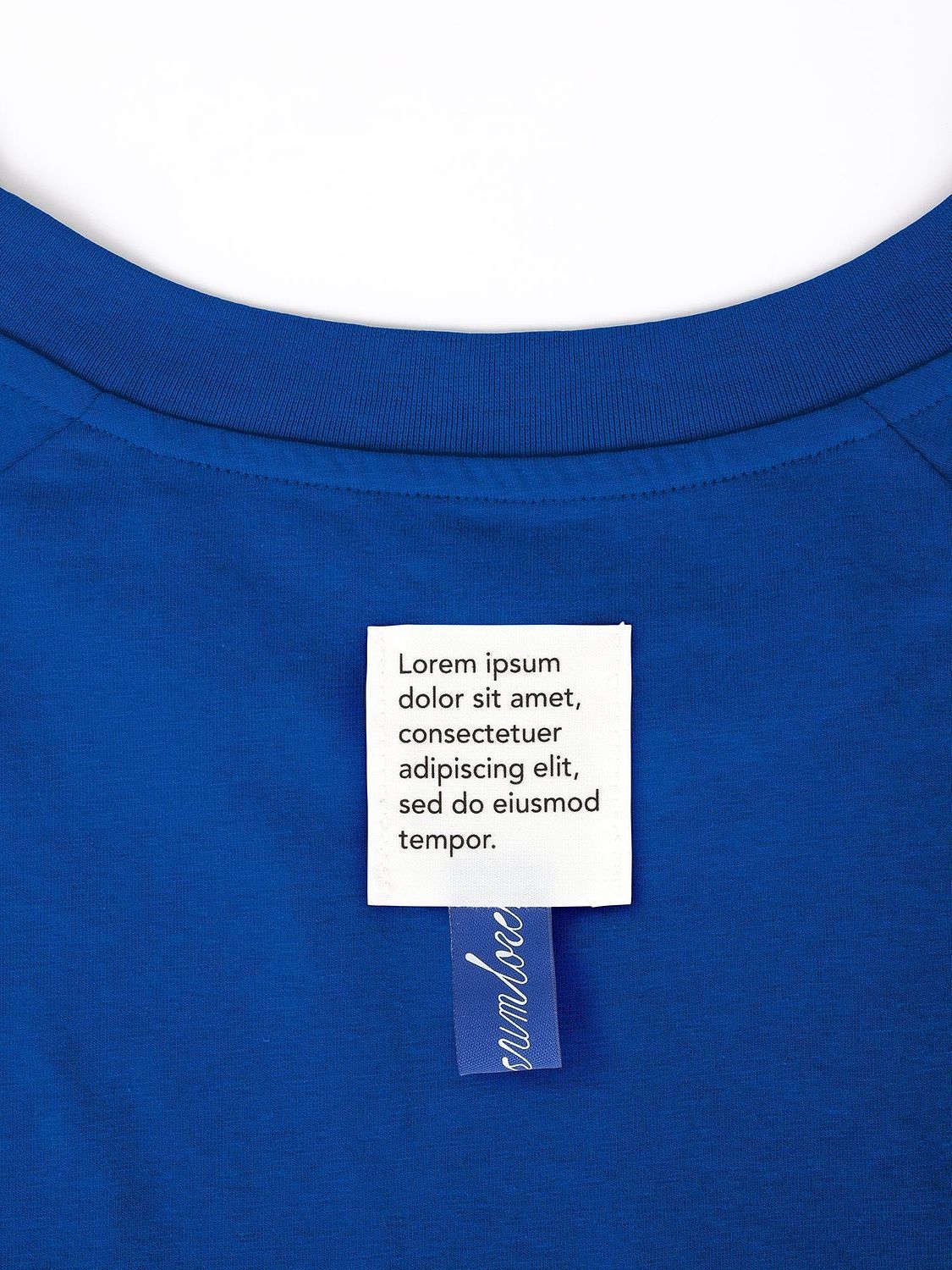 Футболка унисекс оверсайз T2, синяя с логотипом