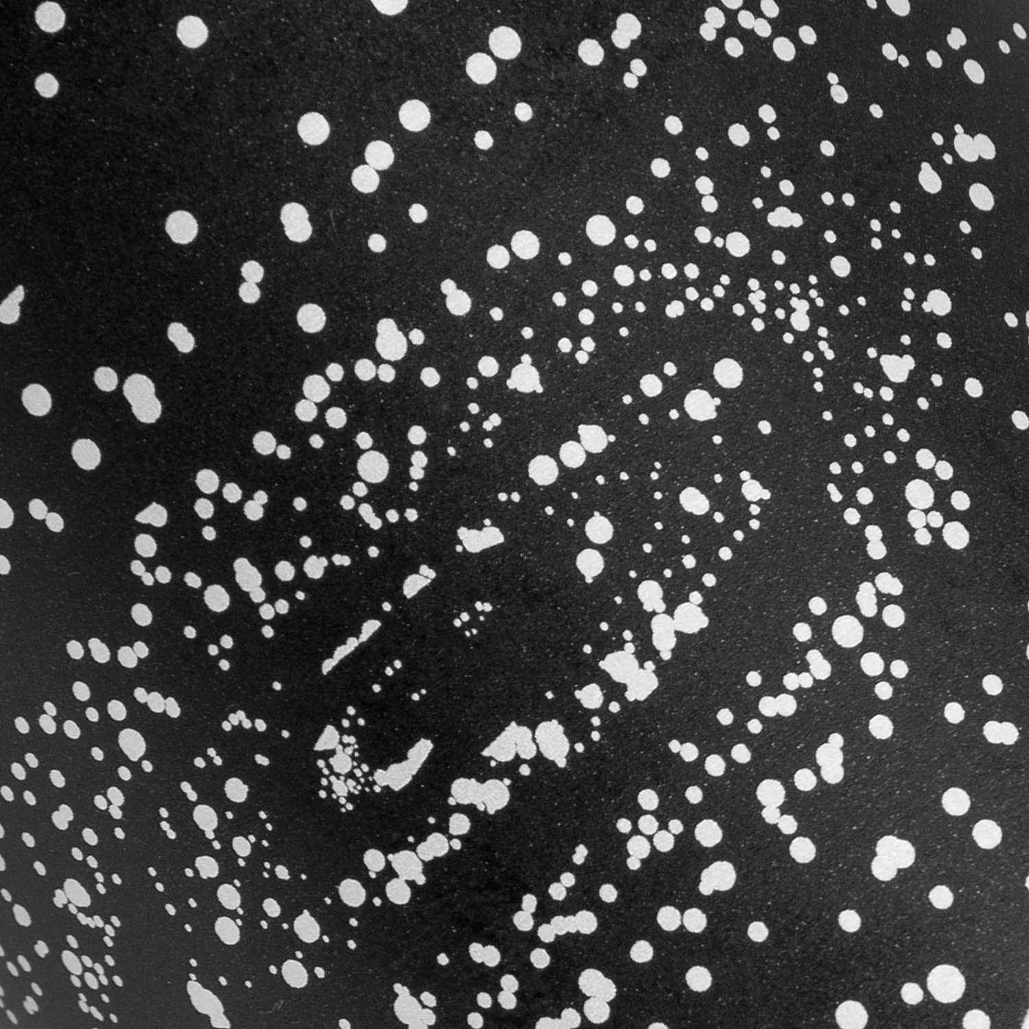 Спортивная бутылка для воды Rio, черная с логотипом