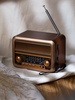 Bluetooth-колонка с радио Beatnik, коричневая с логотипом