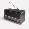 Радиоприемник «РП-336» с логотипом
