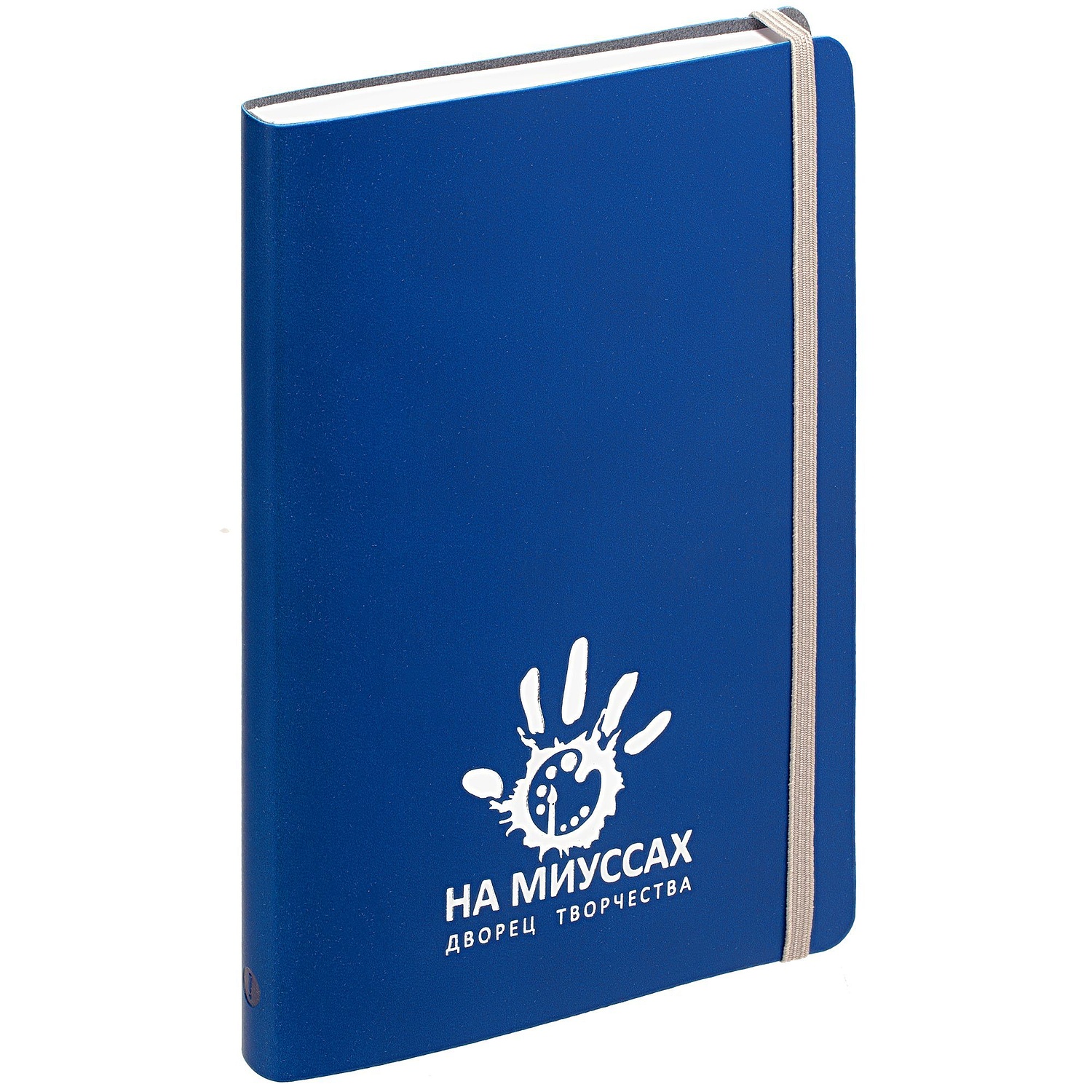 Набор Vivid Maxi, синий с логотипом