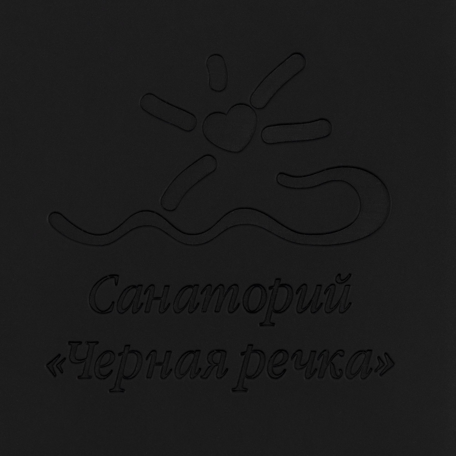 Чехол для пропуска Dorset, черный с логотипом