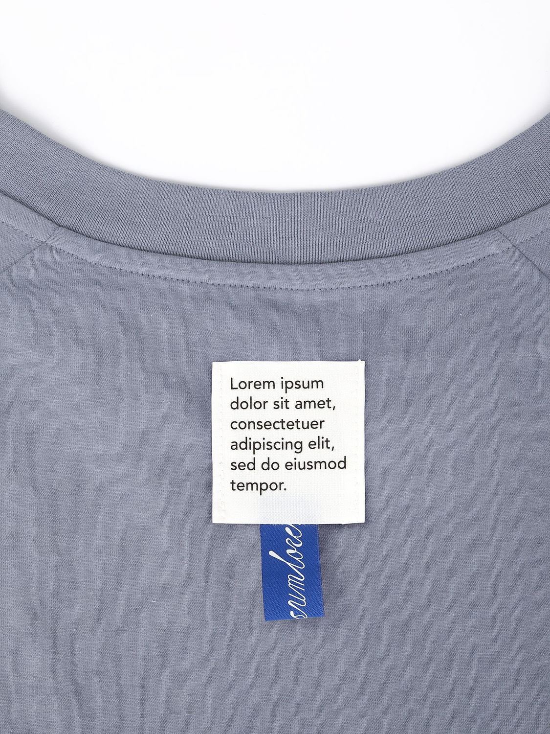 Футболка унисекс оверсайз T2, серая с логотипом