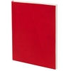 Ежедневник Flat Light, недатированный, красный с логотипом