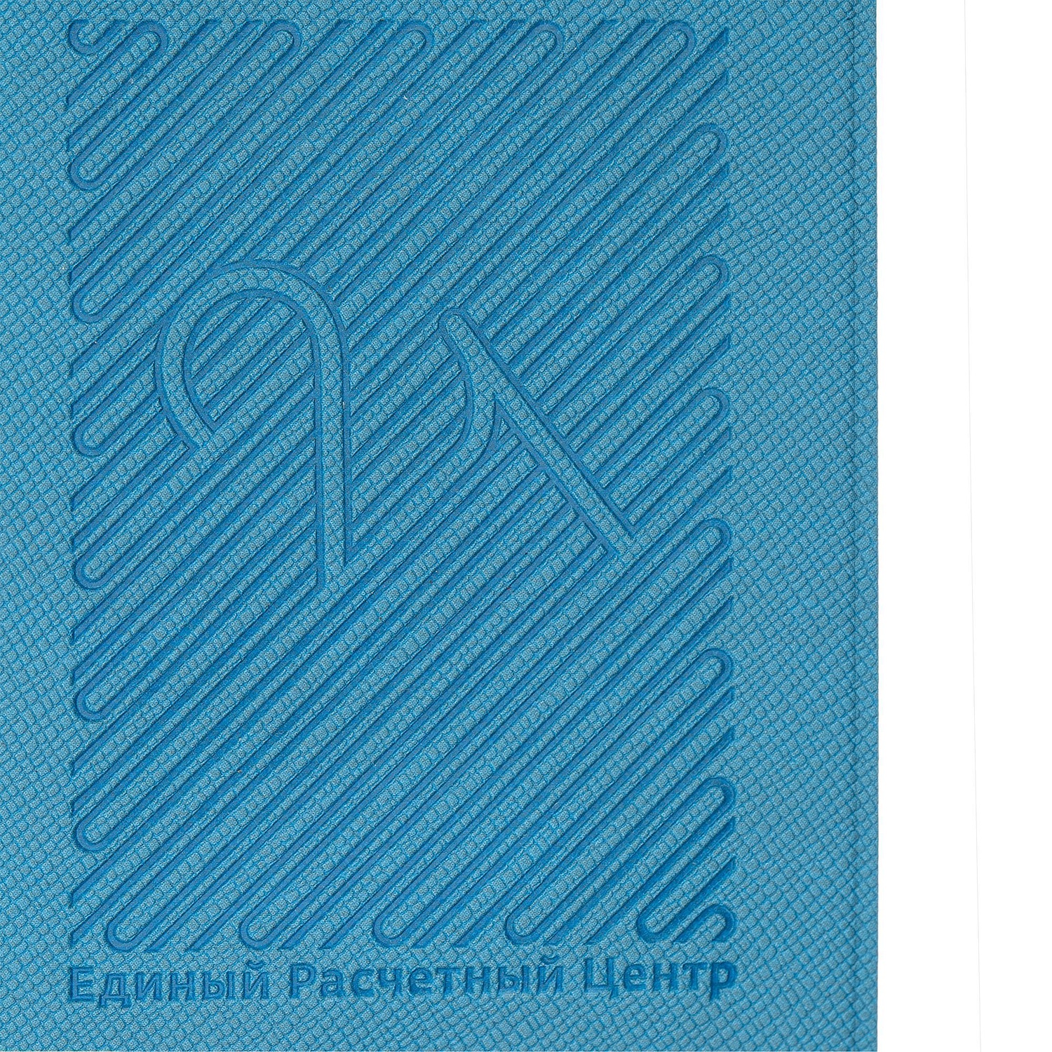 Чехол для пропуска Devon, голубой с логотипом