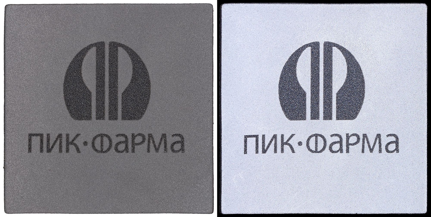 Лейбл светоотражающий Tao, L, серый с логотипом