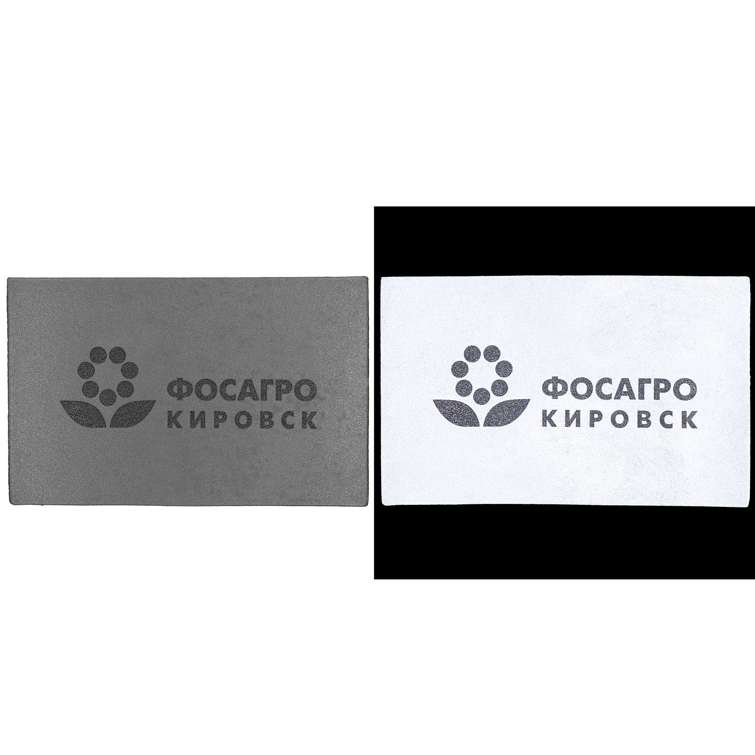 Лейбл светоотражающий Tao, XL, серый с логотипом