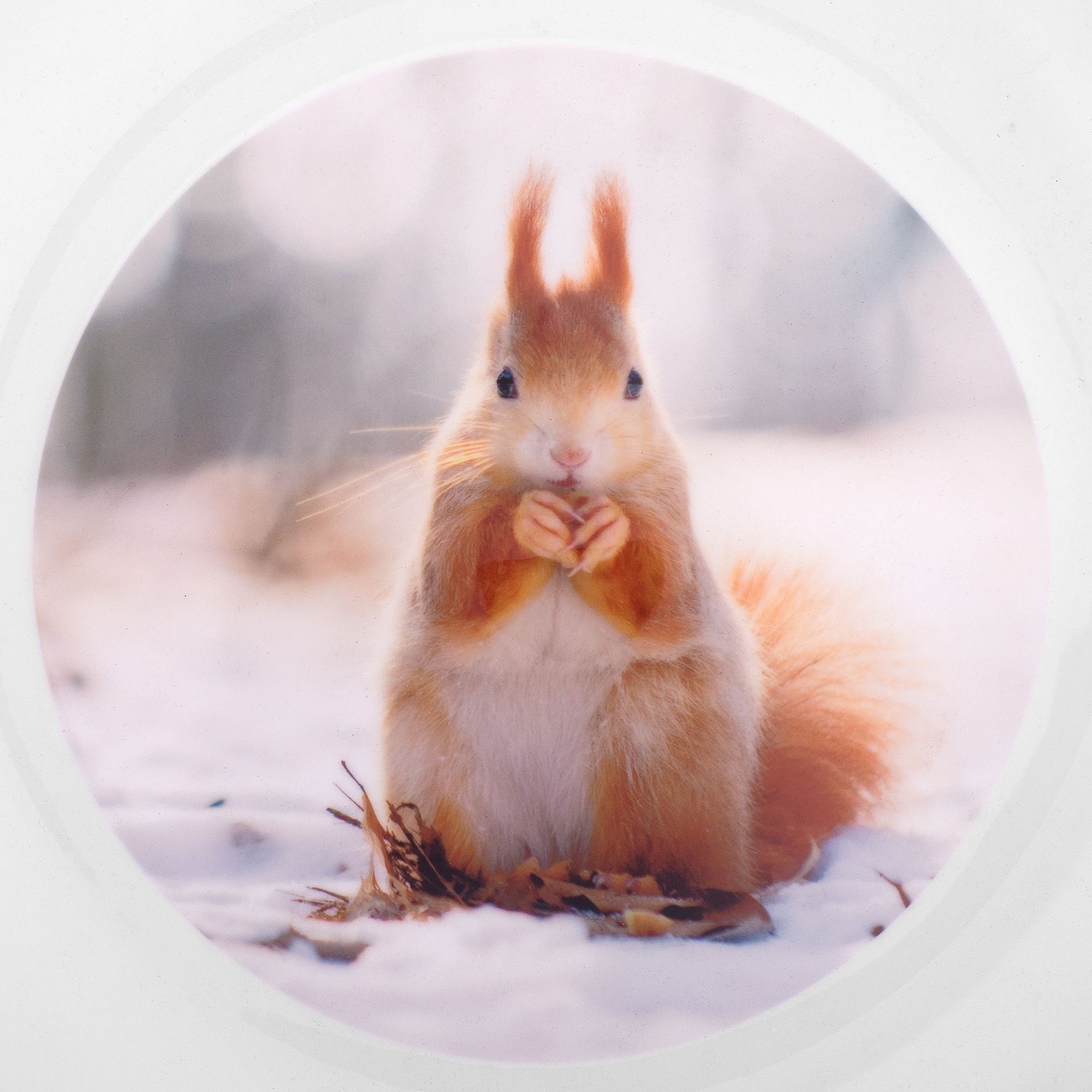 Тарелка Wonder для сублимационной печати, белая с логотипом