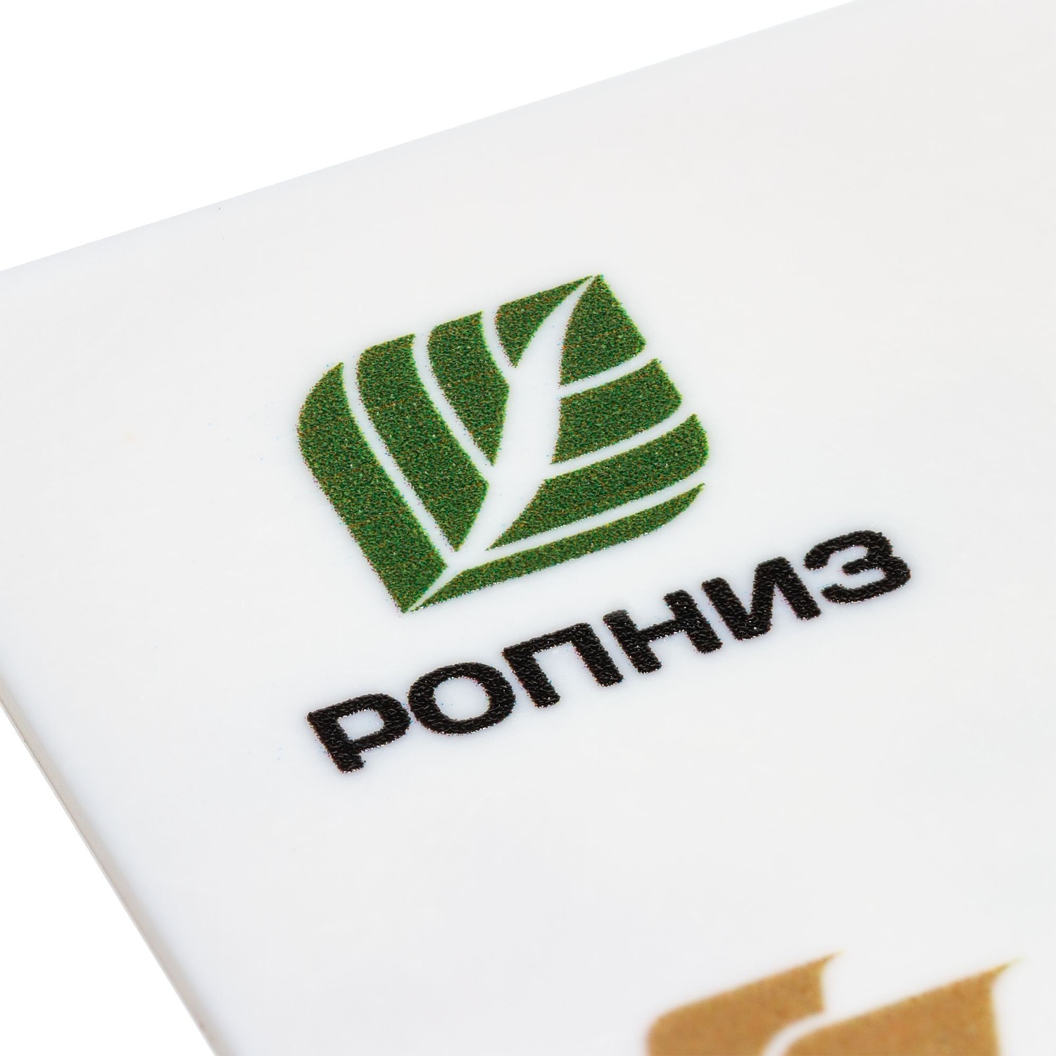 Флешка Card, 8 Гб, белая с логотипом