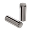 Наконечник для шнурка Nozzle, серебристый с логотипом