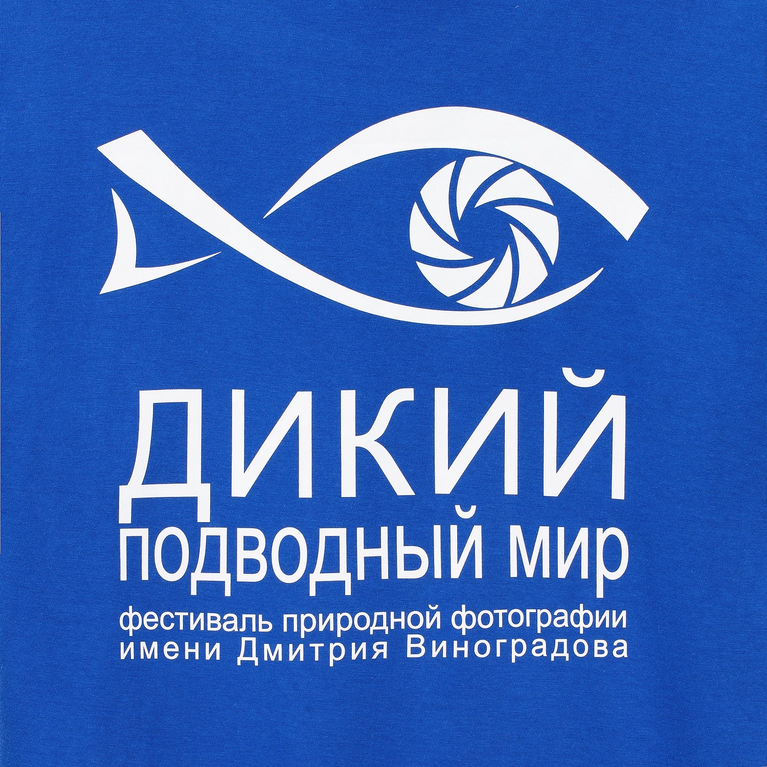 Футболка унисекс Regent 150, ярко-синяя (royal) с логотипом