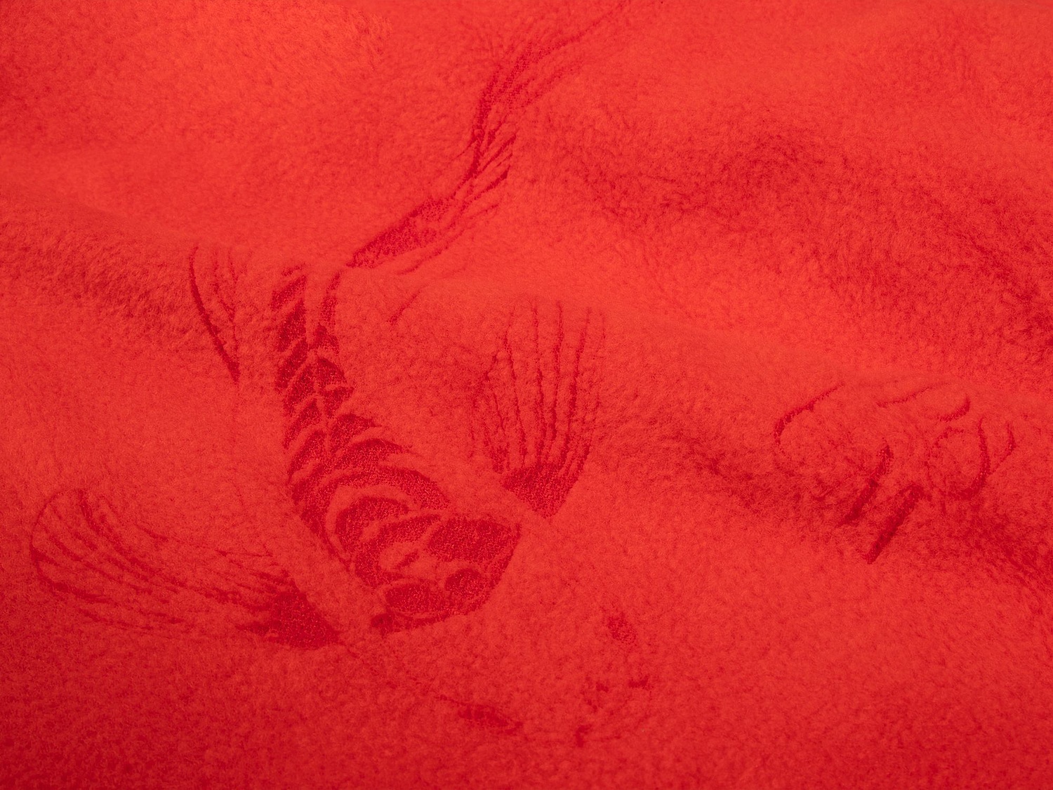 Дорожный плед-подушка Pathway 2, красный