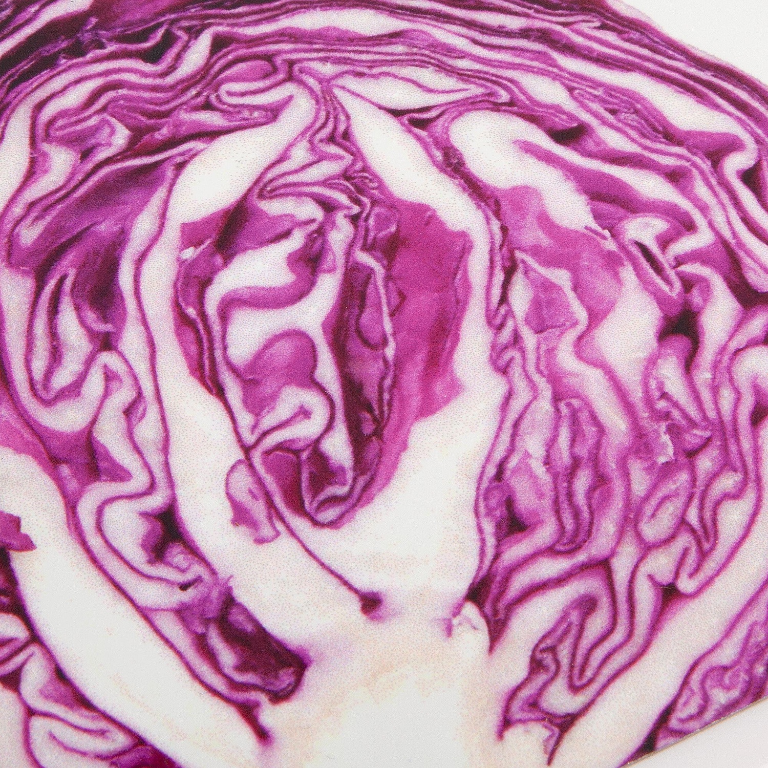 Ланчбокс под сублимацию Imagery, белый с логотипом