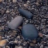 Внешний аккумулятор Pebble 7800 мАч, серый с логотипом