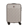 Чемодан для ручной клади Lumen S, серебристый с логотипом