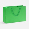 Пакет бумажный Ample Thin M, светло-зеленый с логотипом
