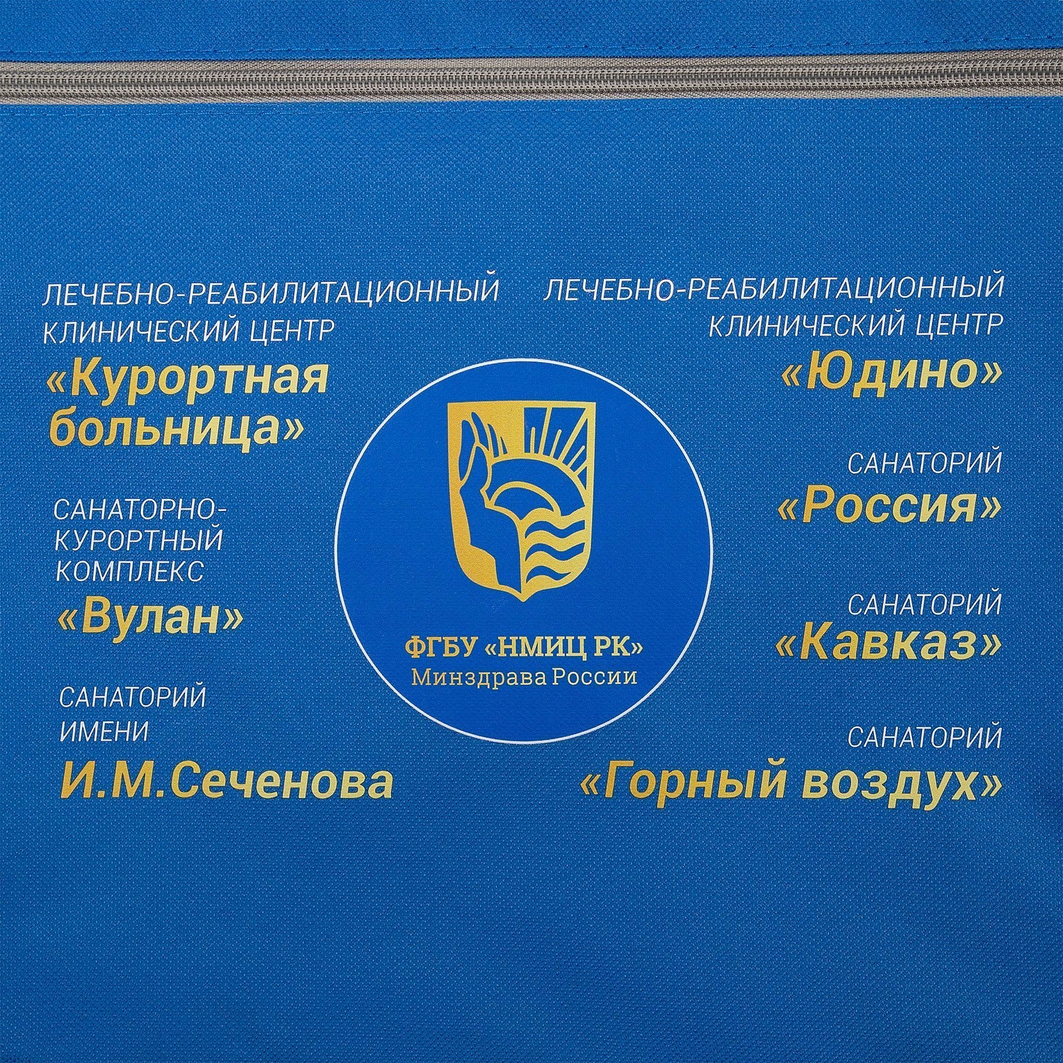 Сумка-папка Simple, ярко-синяя с логотипом