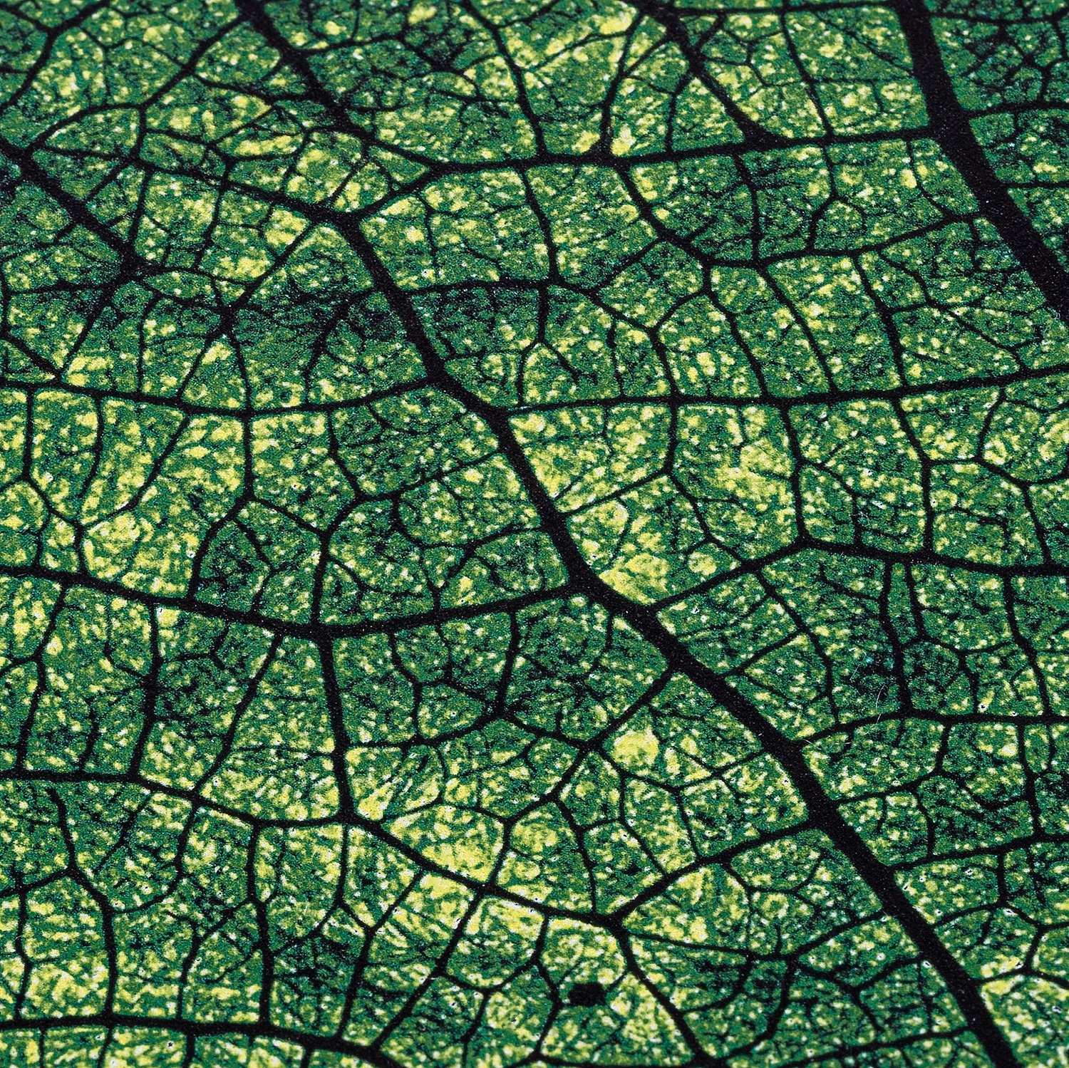 Ежедневник New Factor, недатированный, черный с логотипом