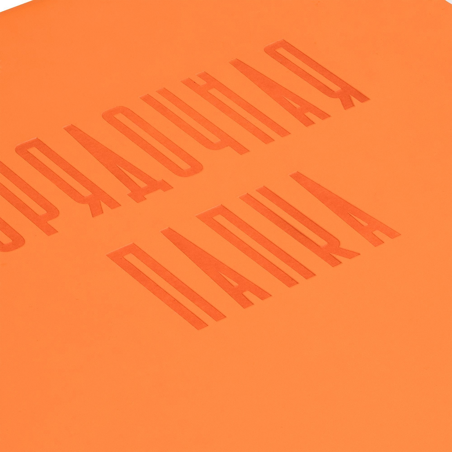 Папка для хранения документов Devon Maxi Plus на заказ