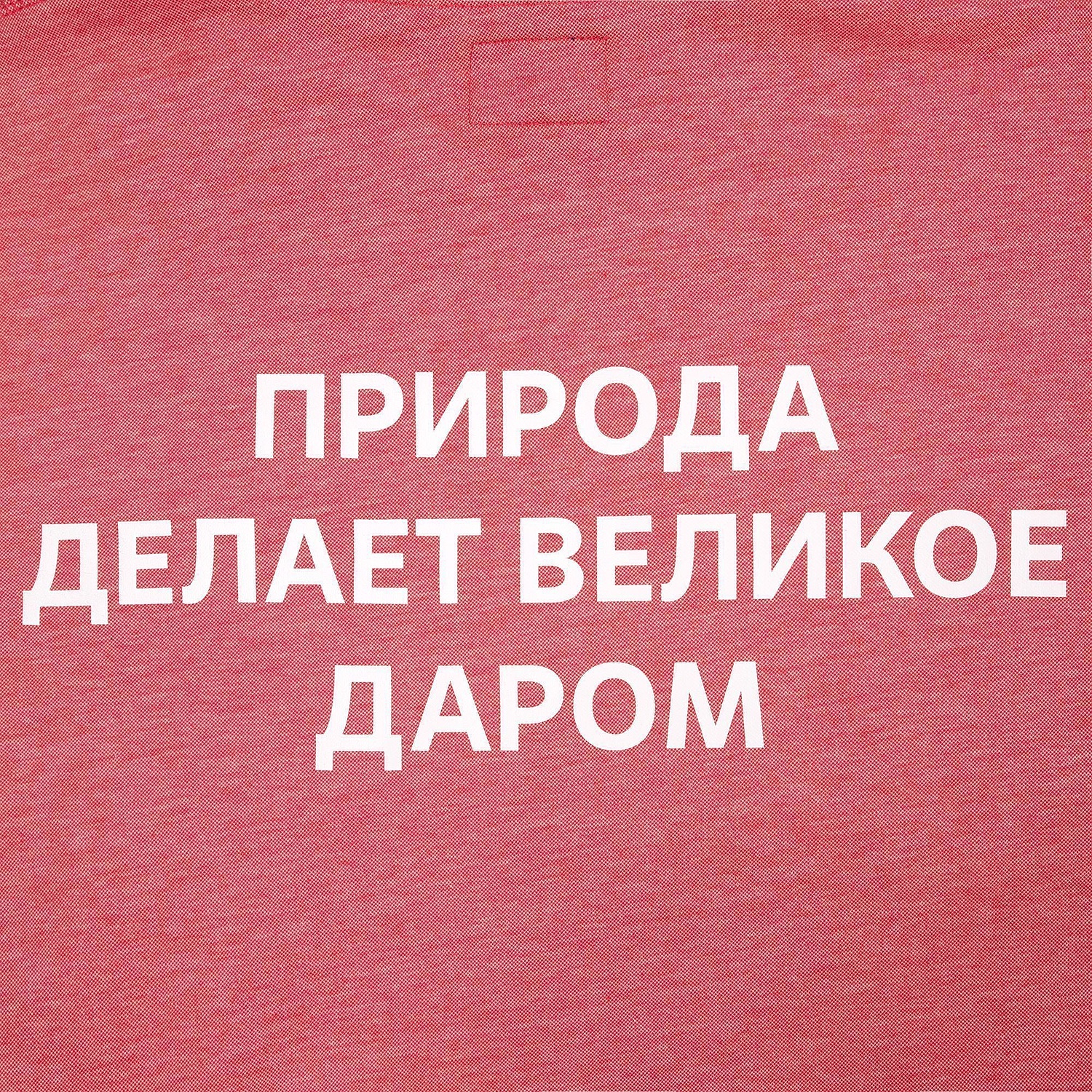 Толстовка мужская Parkwick красный меланж с логотипом