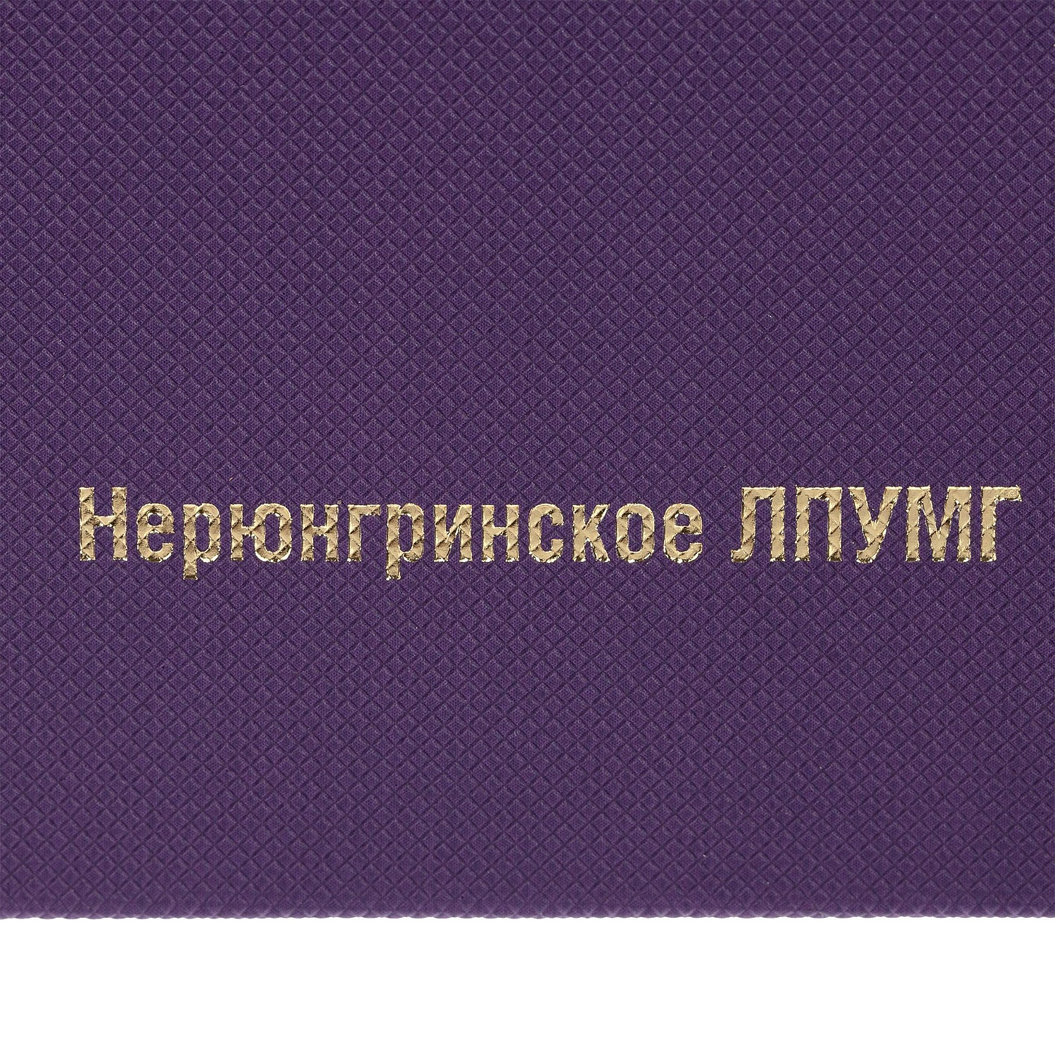 Ежедневник Grade, недатированный, фиолетовый с логотипом