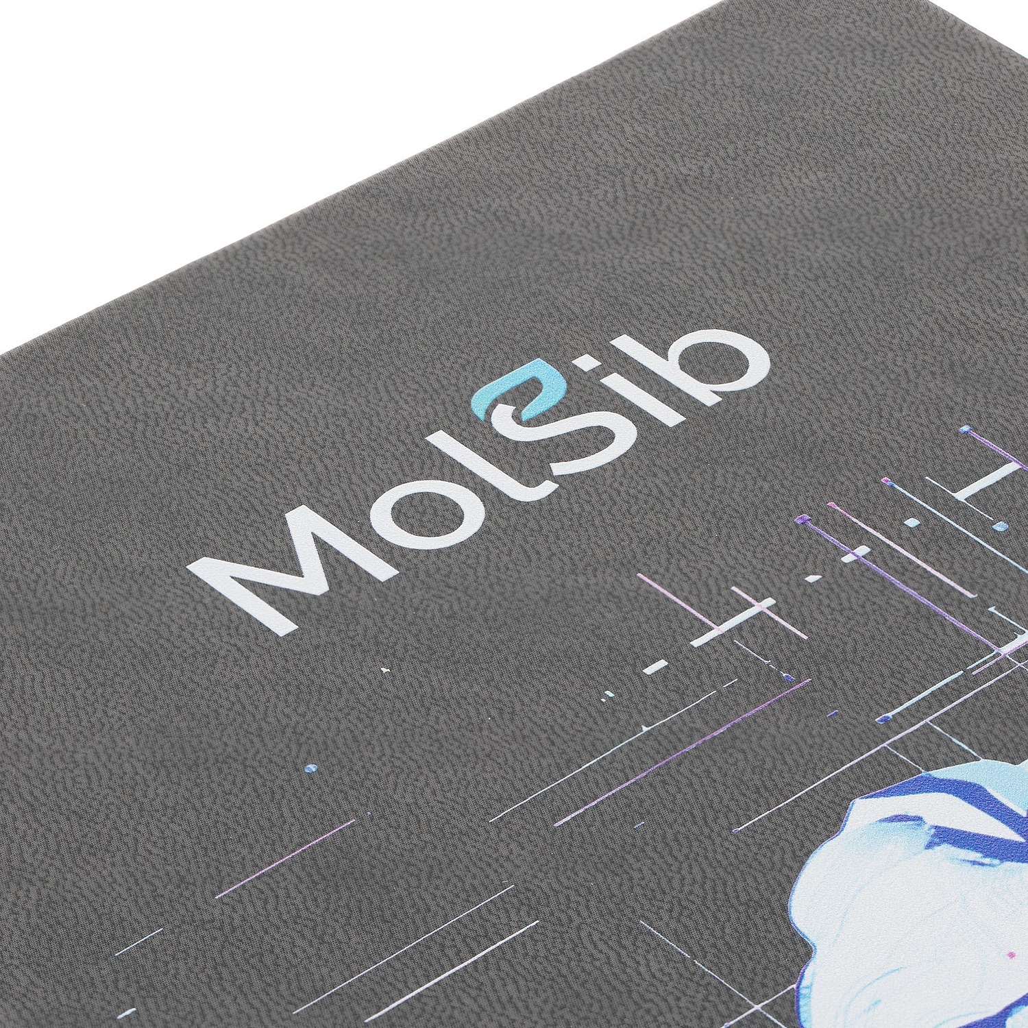 Ежедневник Basis, датированный, темно-серый с логотипом