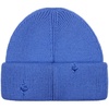 Шапка Pricker, синяя (аква) с логотипом