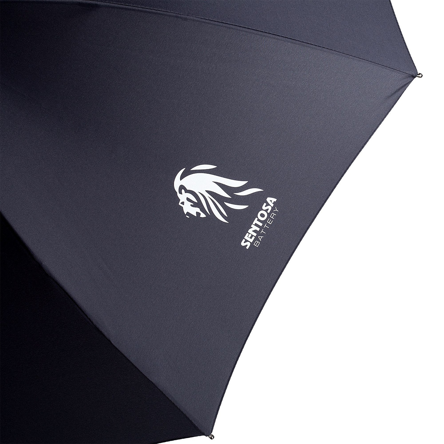 Зонт-трость Alessio, темно-синий