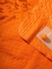 Плед для пикника Soft & Dry 2, оранжевый с логотипом