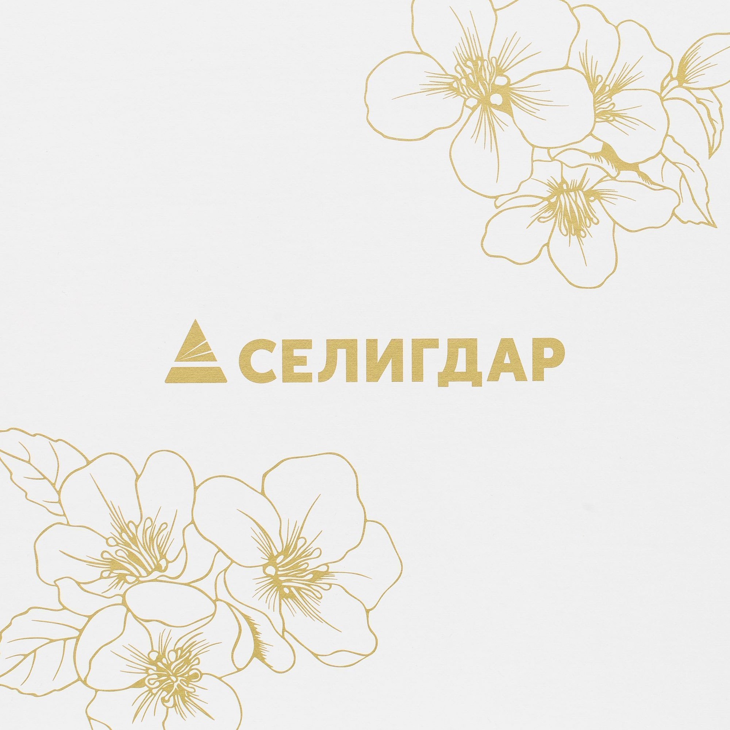 Коробка Handgrip, малая, белая с логотипом