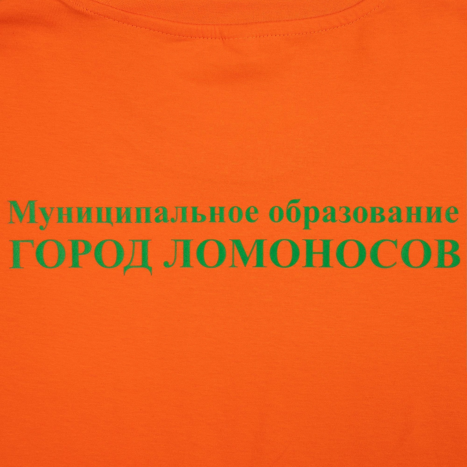 Футболка унисекс Regent 150, оранжевая с логотипом