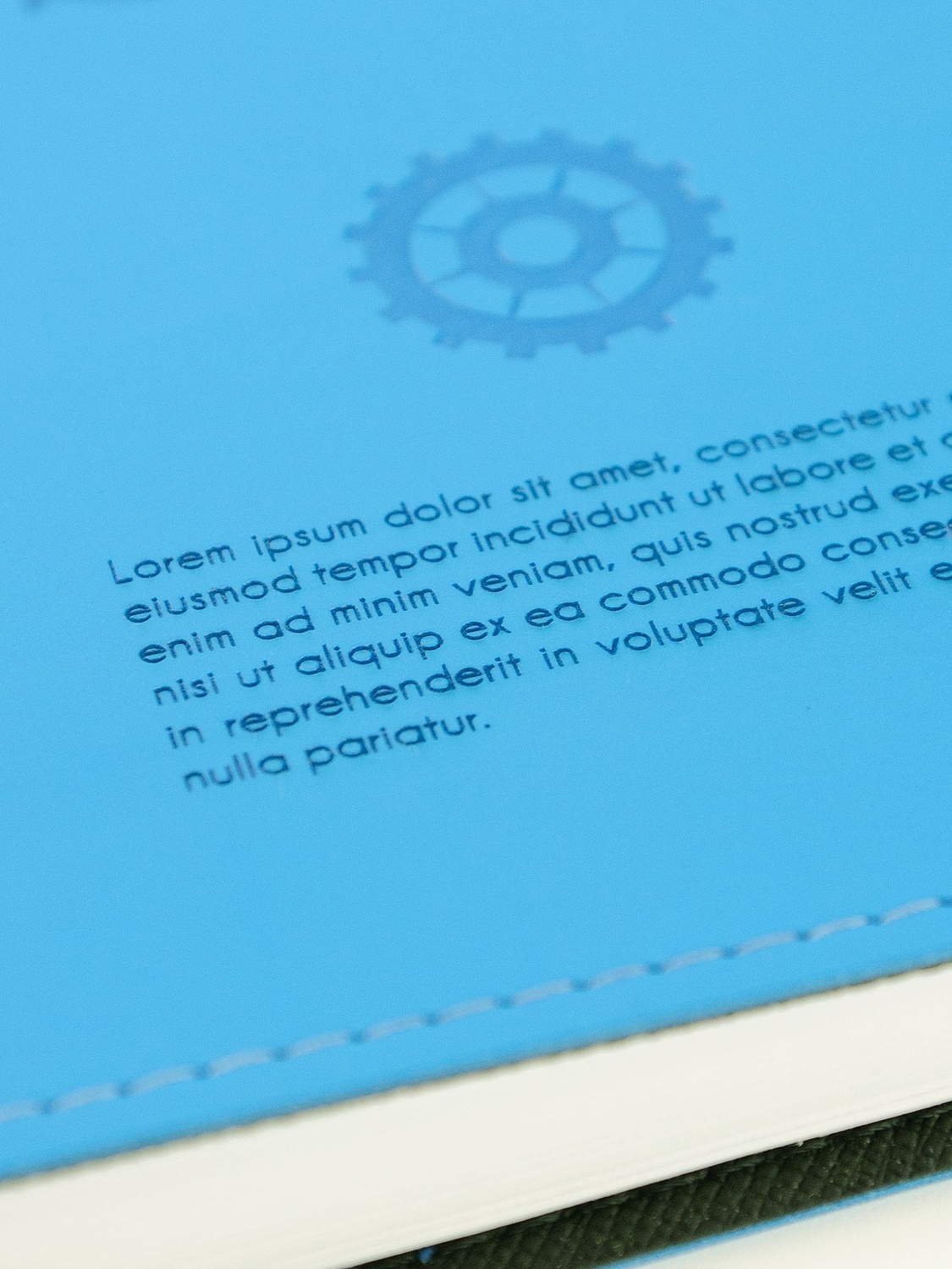 Ежедневник Spring Shall, недатированный, голубой с логотипом