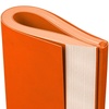 Ежедневник Flat Maxi, недатированный, оранжевый с логотипом