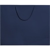 Пакет бумажный Ample Plus L, синий