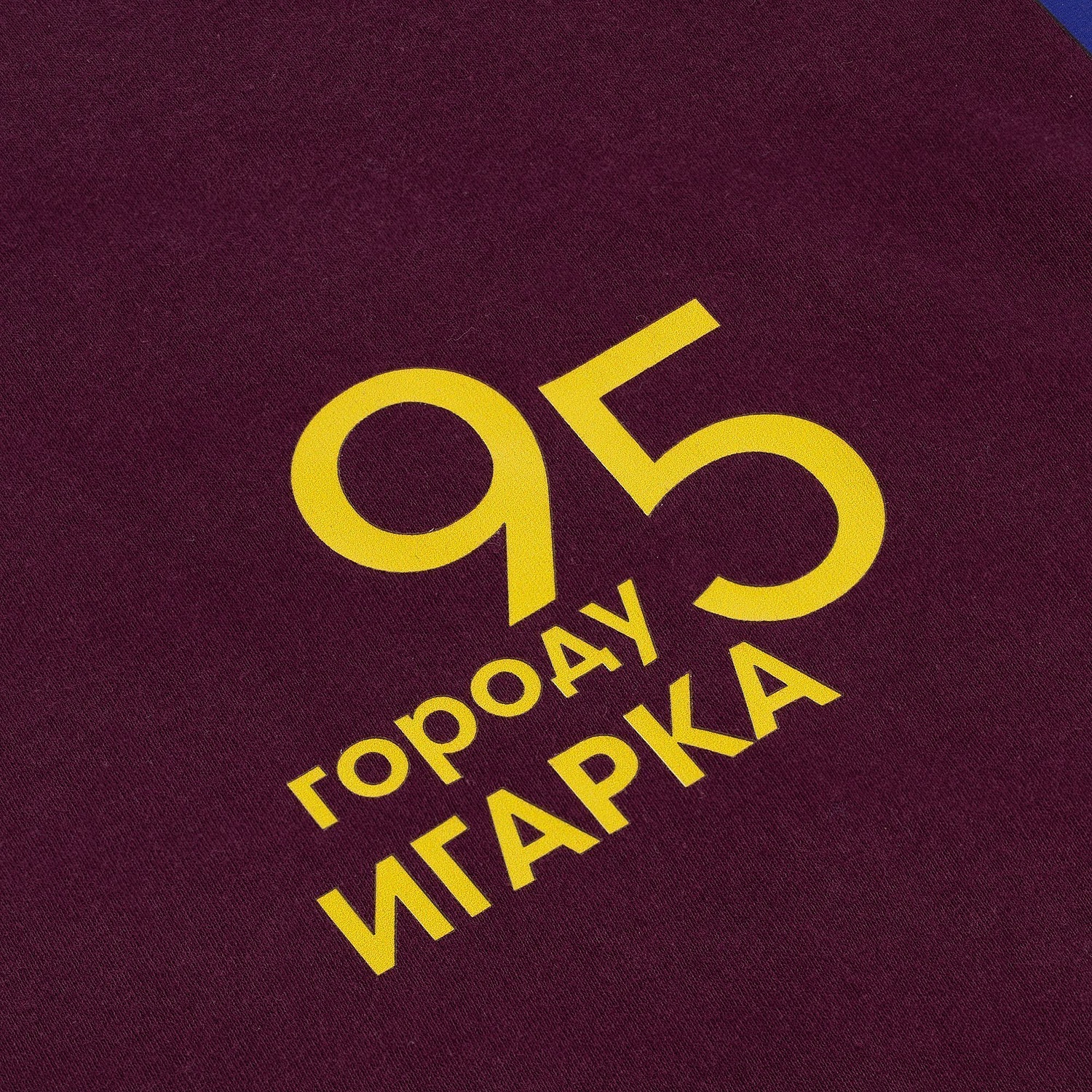 Футболка унисекс Regent 150, бордовая с логотипом