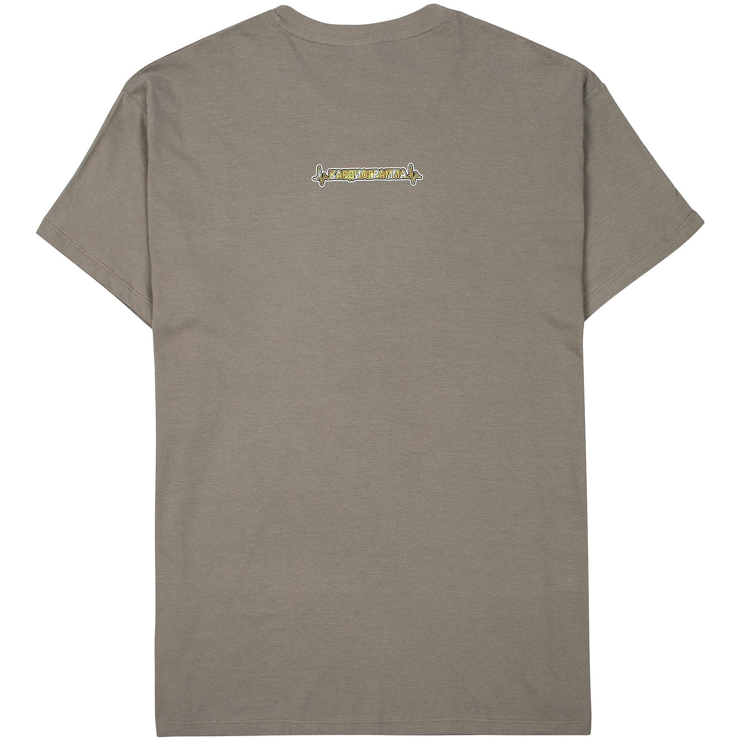 Футболка унисекс Regent 150, серая (стальная) с логотипом