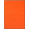 Ежедневник Flat Light, недатированный, оранжевый с логотипом
